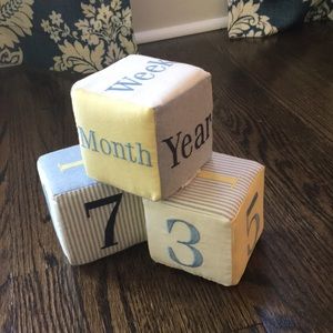Ralph Lauren baby milestone cubes